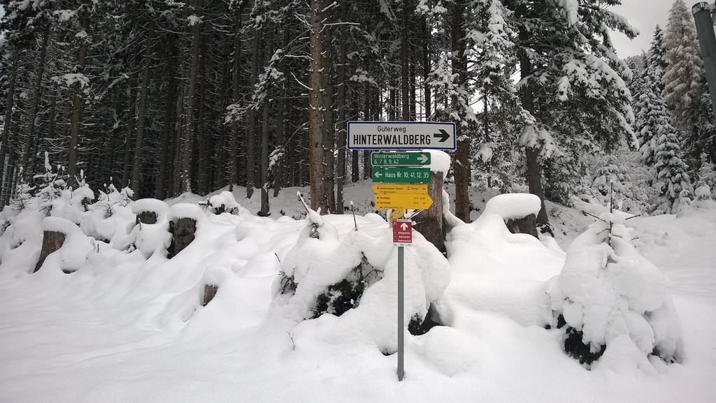 Appartement Reitlhof Wald im Pinzgau Esterno foto